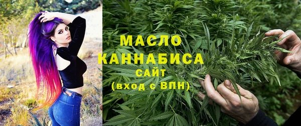 прущий лед Бородино