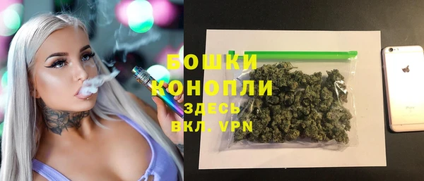 прущий лед Бородино