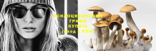 jwh Бронницы