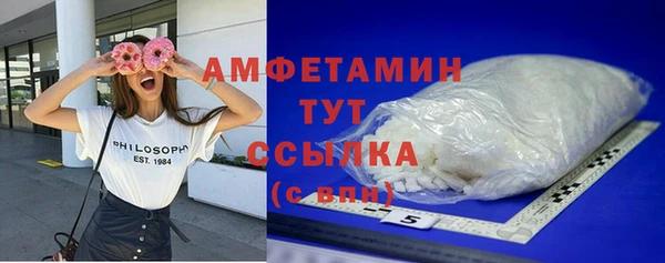 прущий лед Бородино