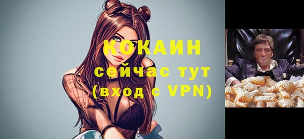 прущий лед Бородино