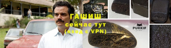 прущий лед Бородино