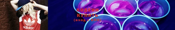 прущий лед Бородино