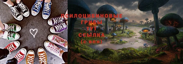 прущий лед Бородино