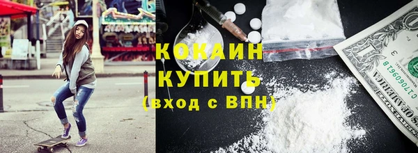 прущий лед Бородино