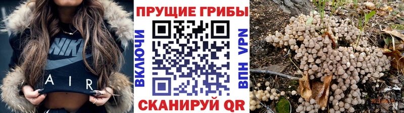 Галлюциногенные грибы мухоморы  Купить  Гороховец 